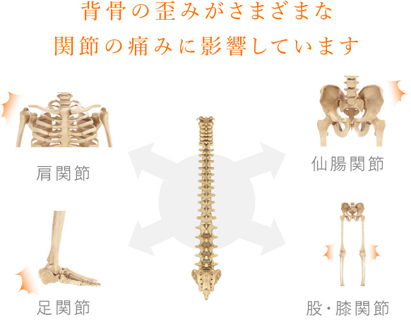 背骨の歪みがさまざまな関節への痛みに影響します