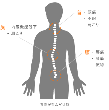 体の中心である「背骨」を見直すことで「慢性痛の解消」、「症状や歪みの再発予防」を行います