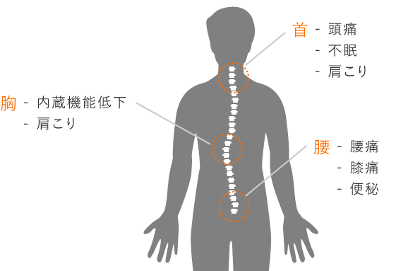 体の中心である「背骨」を見直すことで「慢性痛の解消」、「症状や歪みの再発予防」を行います