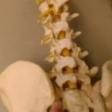 座っていると片方のお尻が痛くなるのは仙腸関節が原因　　名古屋　整体　　　　　　せぼね研究室