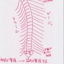 「ストレッチしても効果が出ない！！」　　　背骨の歪み