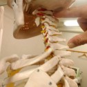 首の動きに大切なもの　～キリンも同じ～　　名古屋の整体院　　せぼね研究室