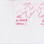 膝内側のよくある痛みと真原因　　～病院で「膝の変形」と言われても諦めないで～　名古屋　整体　膝関節痛　　　　　　　　　せぼね研究室