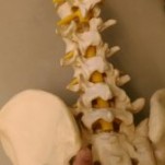 座っていると片方のお尻が痛くなるのは仙腸関節が原因　　名古屋　整体　　　　　　せぼね研究室