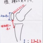 膝のコンディションチェック＆改善法の例　～運動は膝の歪みを取ってから～　　　名古屋　整体　　　　　せぼね研究室